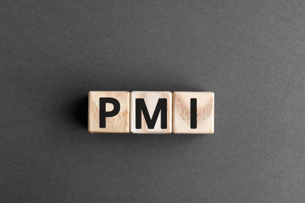 PMI - acronym from wooden blocks with letters, abbreviation PMI Private Mortgage Insurance, Purchasing Managers Index concept, gray background